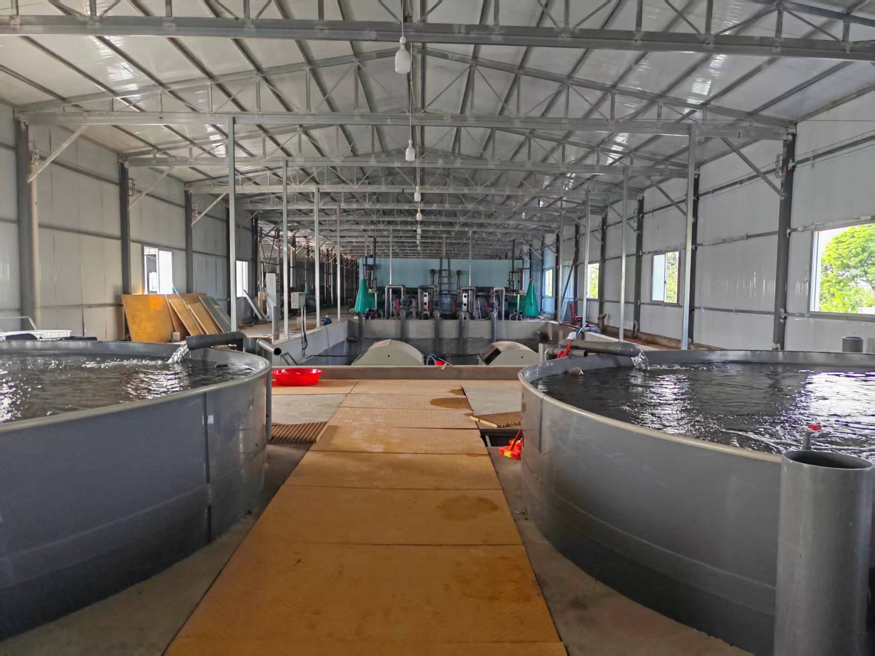 湖北监利加州鲈养殖场