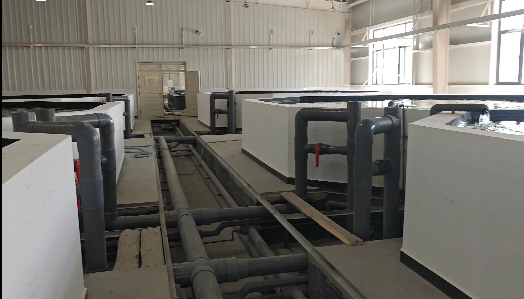 自动化投喂系统