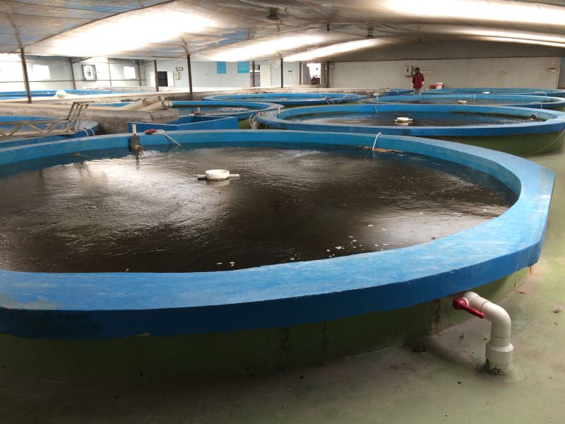 广州水族馆维生系统